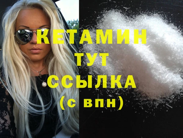 индика Долгопрудный