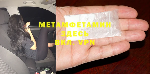 индика Долгопрудный