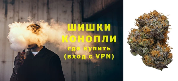 индика Долгопрудный