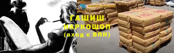индика Долгопрудный