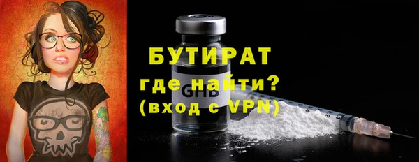 индика Долгопрудный