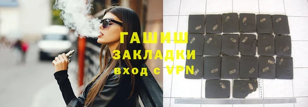 индика Долгопрудный