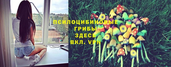 индика Долгопрудный
