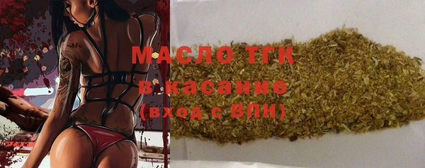 индика Долгопрудный