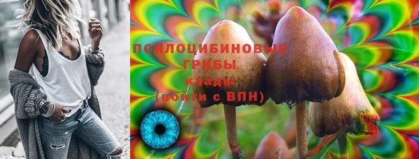 гашик Киренск