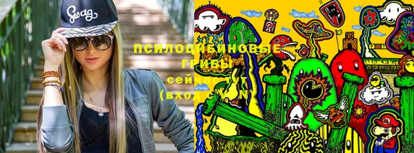 крисы Киреевск