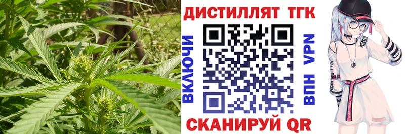 Купить  Вилючинск  ТГК жижа 