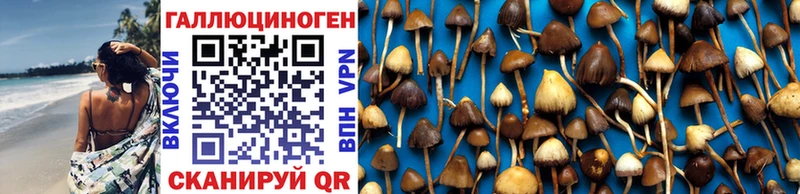 Купить  Вилючинск  Псилоцибиновые грибы Magic Shrooms 